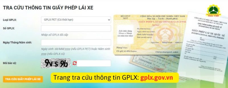 tra cuu thong tin giay phep lai xe