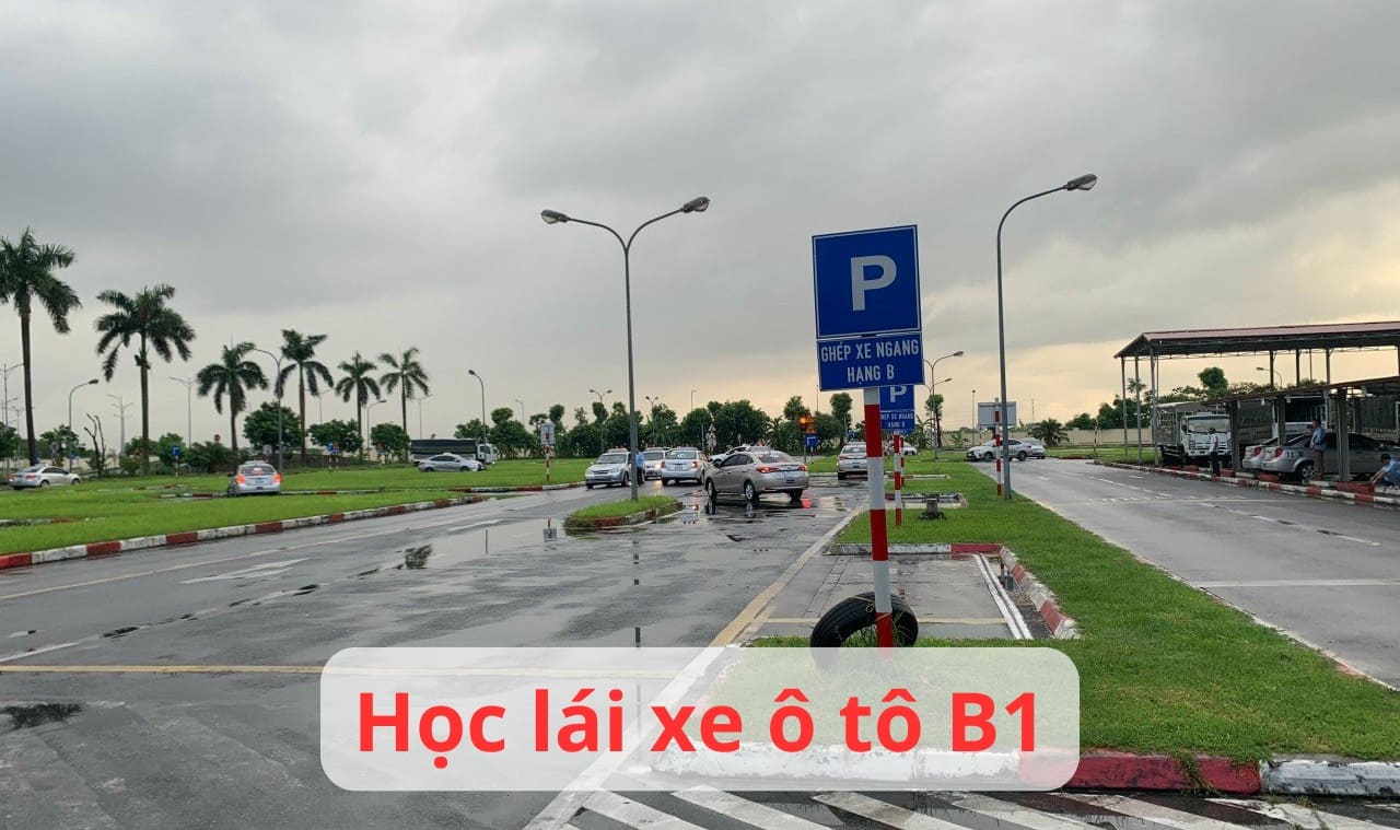 hoc lai xe b1