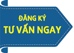 https://daylaixehanoi.vn/contact