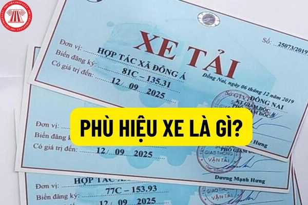 Phù hiệu xe là gì? Các loại xe nào cần phải dán phù hiệu xe? Thủ