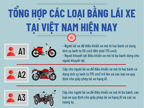 Infographic: Tổng hợp các loại bằng lái xe tại Việt Nam hiện nay