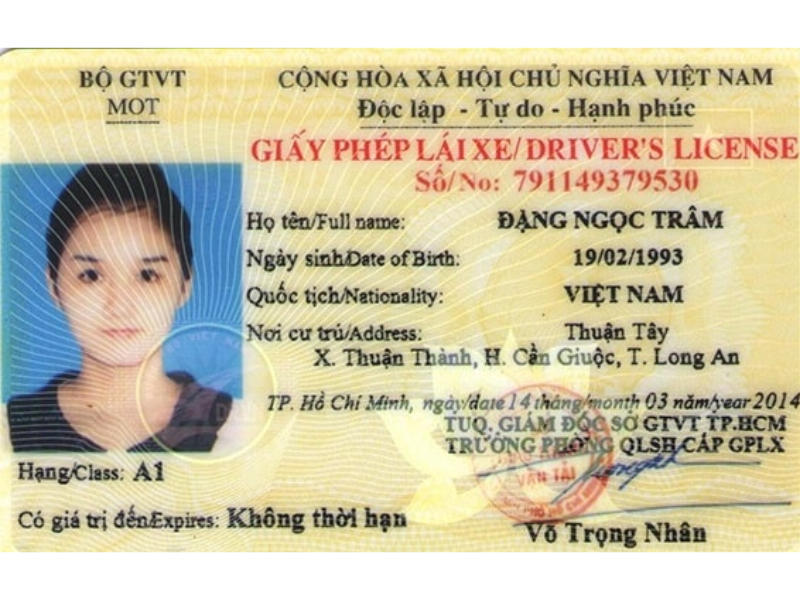 Giấy phép lái xe được coi là giấy thông hành khi tham gia giao thông