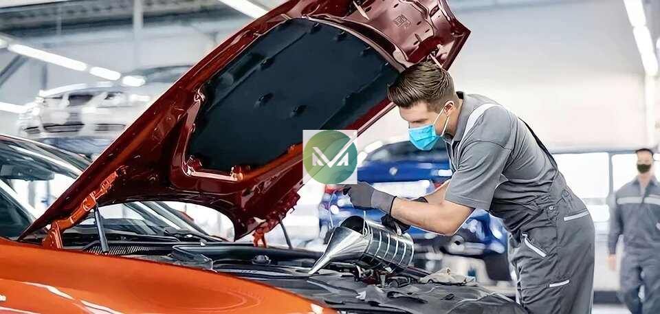 Cẩm nang du lịch xuyên Việt bằng ô tô từ A tới Z an toàn nhất