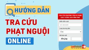 Hướng dẫn cách kiểm tra phạt nguội online chỉ mất 1 phút