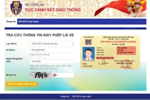 Web tra cứu thông tin GPLX nhanh, không cần đăng nhập