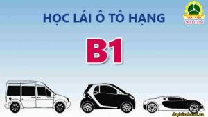 bằng lái xe B1