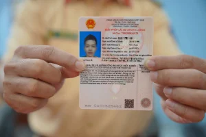 Mẹo tra bằng lái xe thật giả để tránh bị lừa đảo