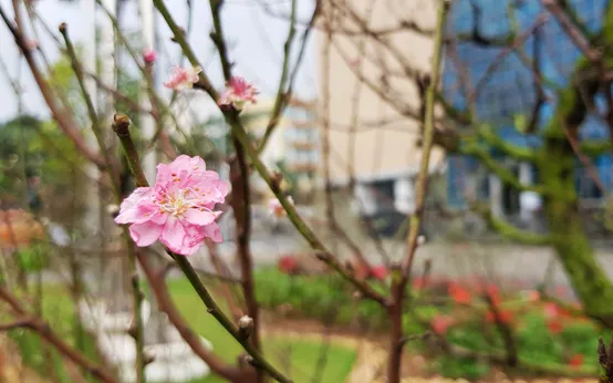 Ngày đầu năm mới - Dấu mốc mở ra một hành trình mới Ngày đầu năm mới - Dấu mốc mở ra một hành trình mới