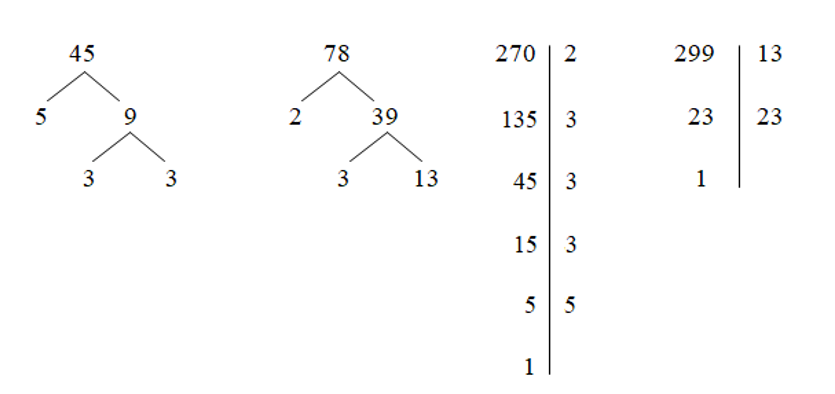 Số nguyên tố là gì - Những trường hợp dễ nhầm lẫn