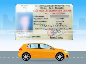 Cách check bằng lái xe qua mã QR tiện lợi, chính xác