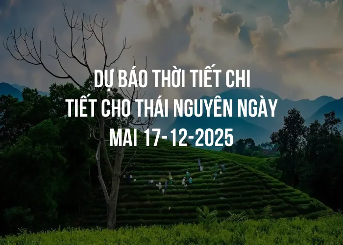 Thời tiết Thái Nguyên - Mùa xuân và mùa hè có gì đáng chú ý Thời tiết Thái Nguyên - Mùa xuân và mùa hè có gì đáng chú ý
