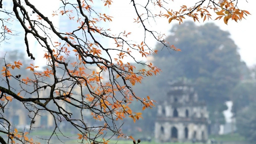 Ngày đầu năm mới - Sự sum vầy làm nên chiều sâu của ngày đầu năm Ngày đầu năm mới - Sự sum vầy làm nên chiều sâu của ngày đầu năm