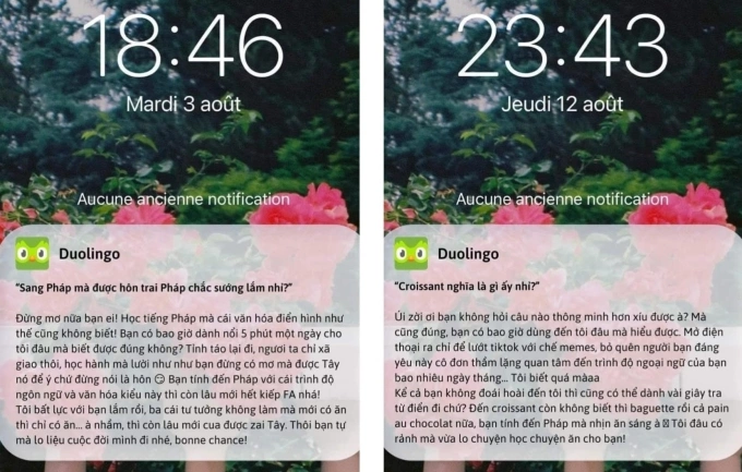 Học tiếng Anh với Duolingo: Hiệu quả thực tế hay chỉ để giải trí?