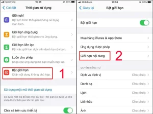 Hướng dẫn phụ huynh cài đặt giới hạn nội dung trên iPhone để chặn web đen