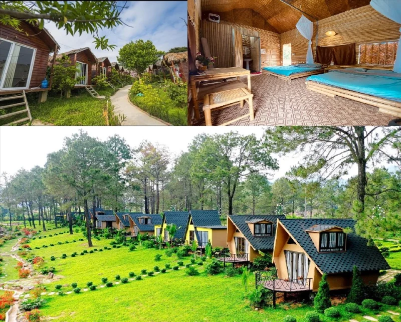 Khu nghỉ dưỡng với các căn bungalow gỗ xinh xắn giữa không gian xanh mát