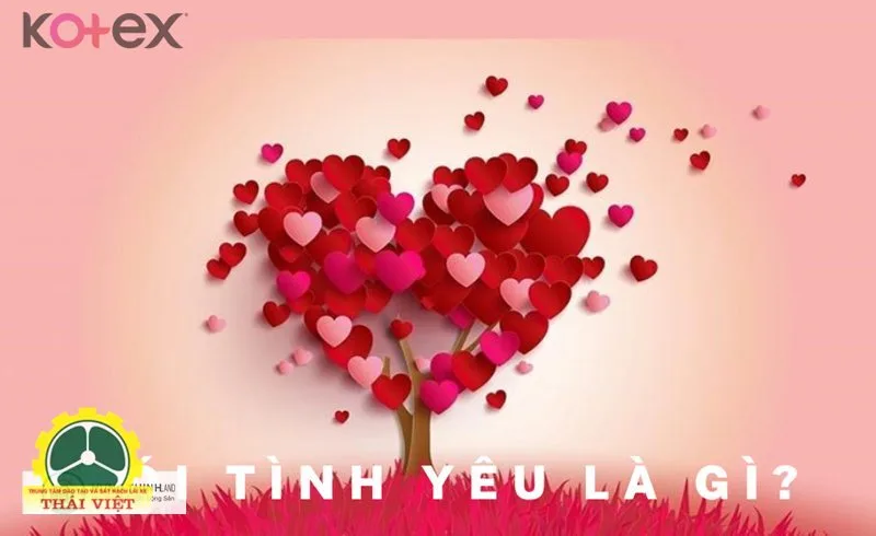 Bói tình yêu - Khái niệm bói tình yêu Bói tình yêu - Khái niệm bói tình yêu