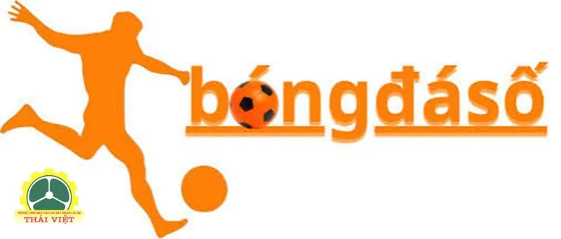 Bongdaso - Xem lịch theo ngày hoặc giải Bongdaso - Xem lịch theo ngày hoặc giải