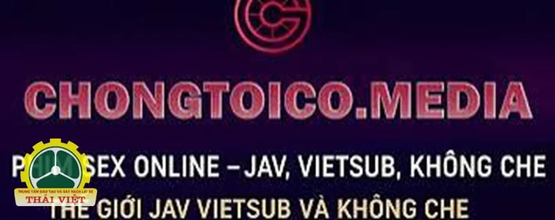 Chongtoico - Khái niệm tổng quan Chongtoico - Khái niệm tổng quan