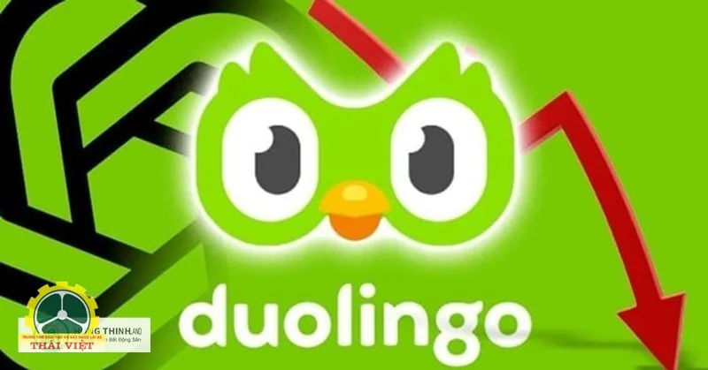 Duolingo - Những ngôn ngữ phổ biến trên Duolingo Duolingo - Những ngôn ngữ phổ biến trên Duolingo