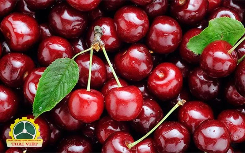 Quả anh đào cuteo - “Cuteo” có phải là tên một giống anh đào? Quả anh đào cuteo - “Cuteo” có phải là tên một giống anh đào?