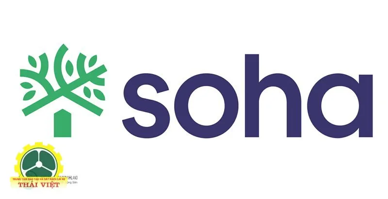 Soha - Thể thao, giải trí, video và ảnh Soha - Thể thao, giải trí, video và ảnh