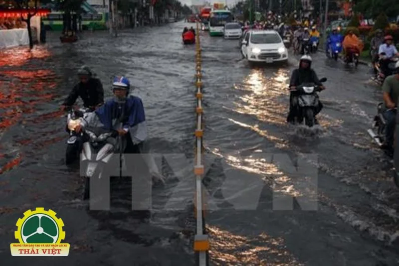 Thời tiết Thành phố Hồ Chí Minh - Cảm giác oi nóng do độ ẩm cao Thời tiết Thành phố Hồ Chí Minh - Cảm giác oi nóng do độ ẩm cao