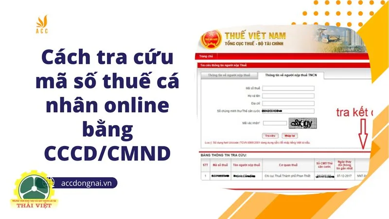 Tra cứu mã số thuế - Chuẩn bị dữ liệu và thực hiện tra cứu Tra cứu mã số thuế - Chuẩn bị dữ liệu và thực hiện tra cứu