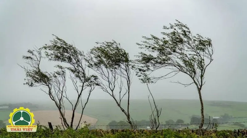 Windy - Hiểu màu sắc, tốc độ và đơn vị đo Windy - Hiểu màu sắc, tốc độ và đơn vị đo