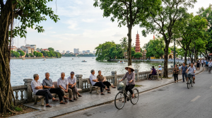 Tìm hiểu nền tảng thông tin Sentayho com vn có gì hấp dẫn?